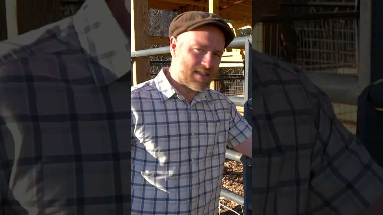 Justin Rhodes explains the function of Joel Salatin-Inspired Pole Barn #shorts