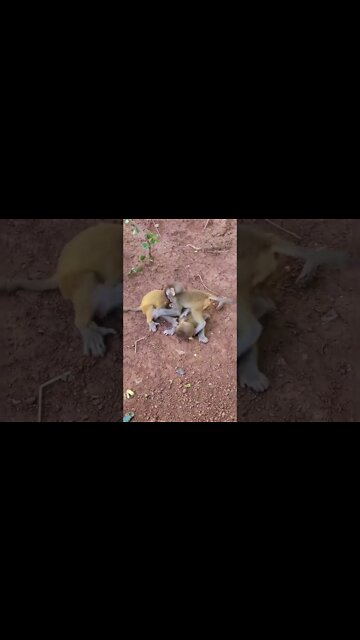 Most Amazing and trending video||relaxing your mind||trendig videos|| #shorts #trending #viral #live