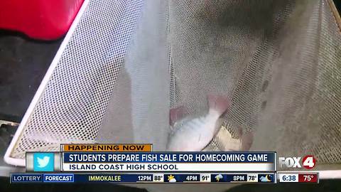 Students prepare fish sale for Island Coast HS homecoming football game