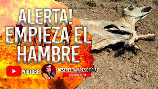 Alerta Mundial Empieza El Hambre | Deseret Tavares