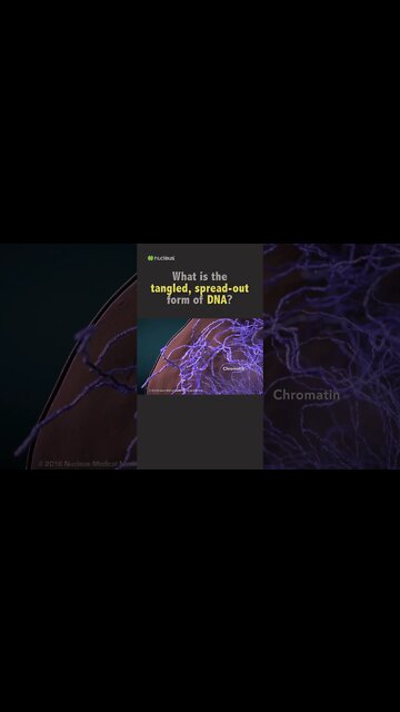 Biology Quiz: What is the tangled, spread-out form of DNA?