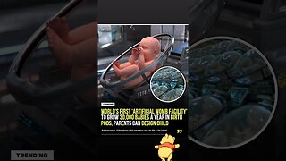 Birth Pod
