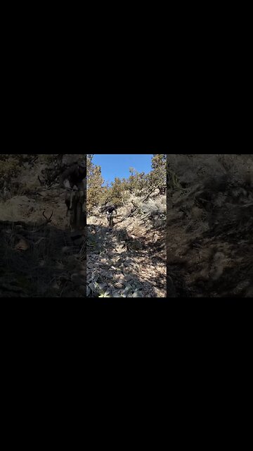 Who likes riding rocks? Cannondale Moterra eats. #mtb #ytshorts #emtb