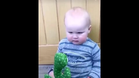 Cute Babies Playing with Dancing Cactus (Hilarious)Cute Baby Funny Videos