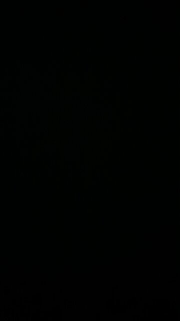 New Hampshire primary election 🗳️