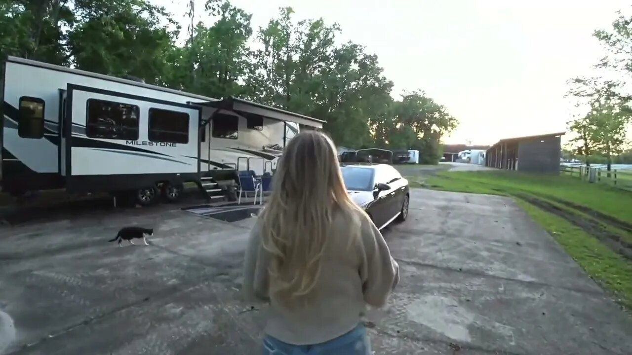 Damn Corinna