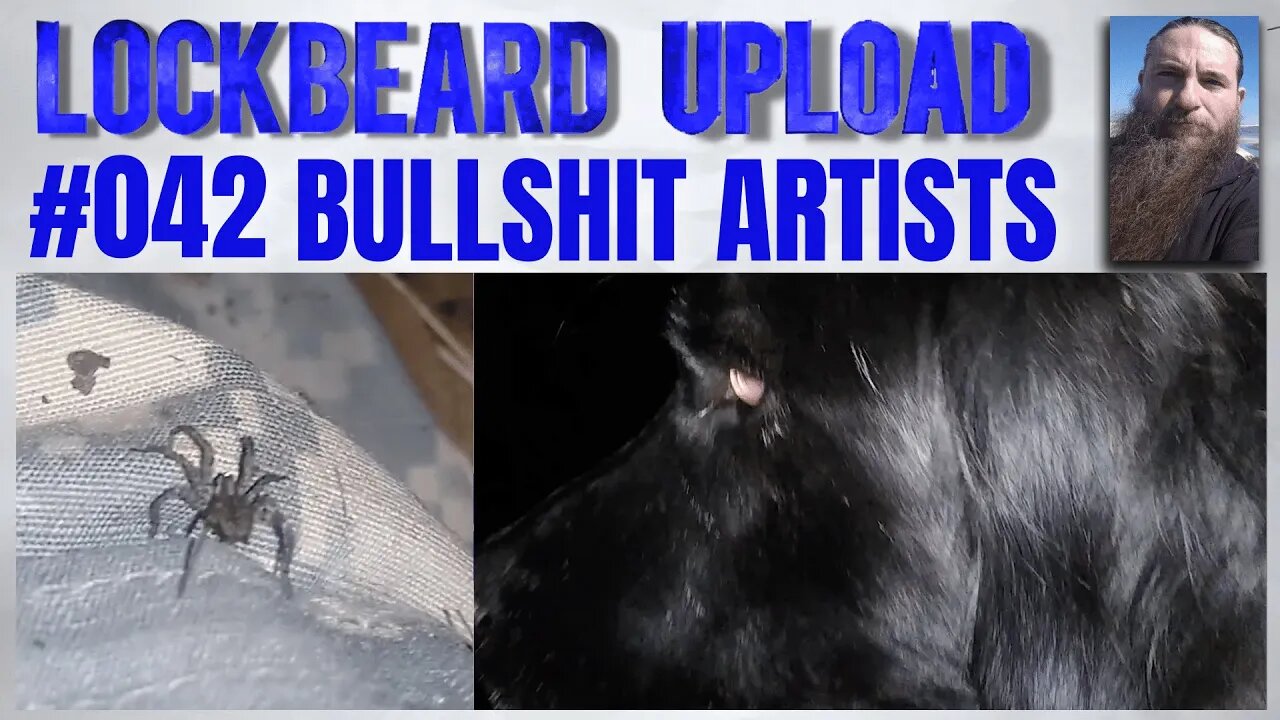 UPLOAD #042 Bullshit Artists