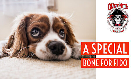 CMS | A Special Bone For Fido
