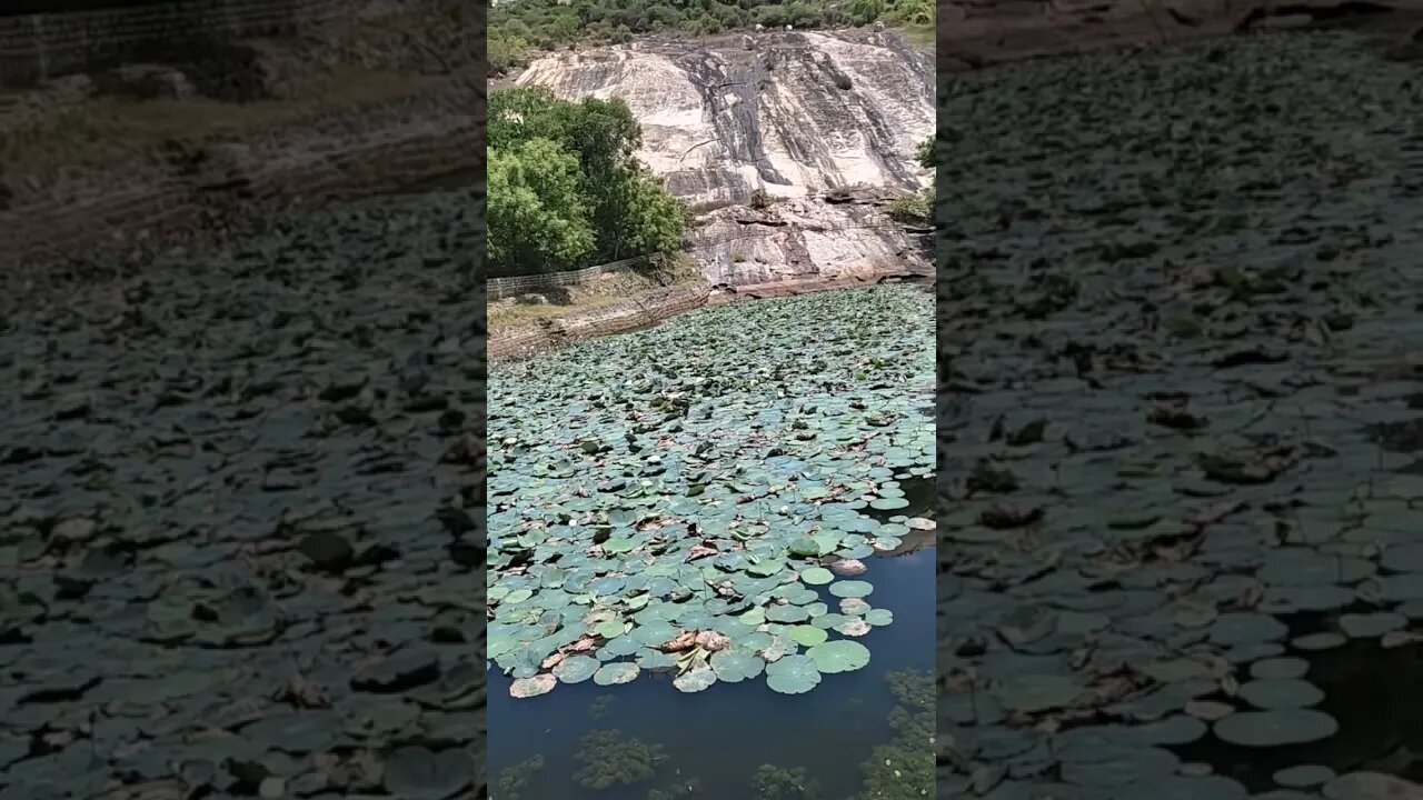 Beautiful place inside Chandragiri fort,#shortvideo,#Chandragirifort,#beautifulplace,#tourvlog