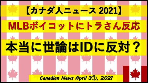 MLBボイコットにトラさん反応 本当に世論はID確認に反対？