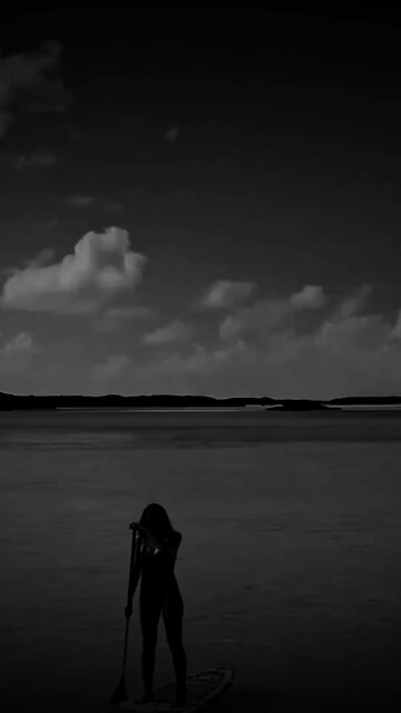 SECRET TO SUCCESS 💸