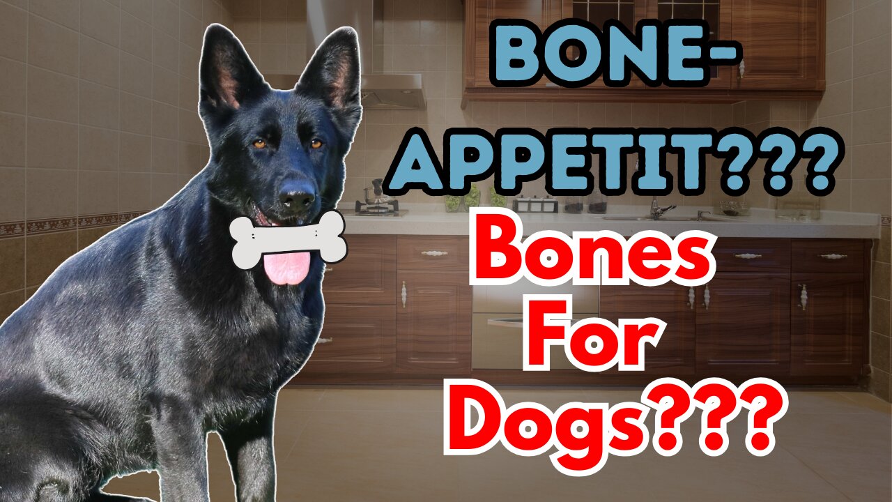 Feeding Bones to Your Dog... Know This!!!