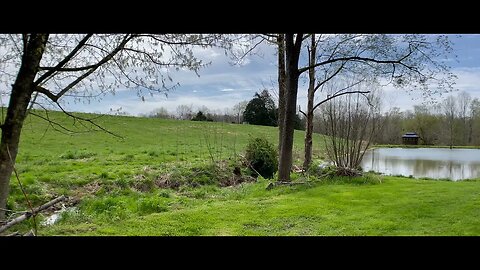 Ambient Kentucky Pasture