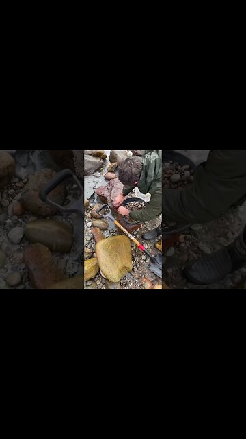 Panning gold straight out of the river!