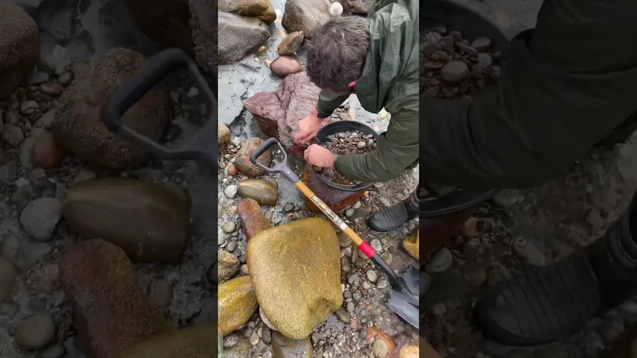 Panning gold straight out of the river!