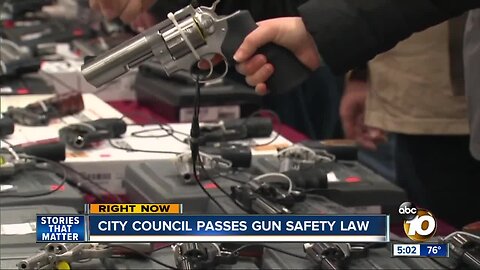 San Diego City Council passes gun safety law