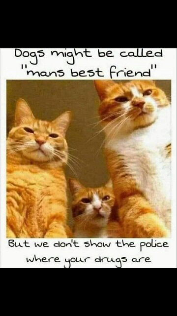 Somewhere in the U.S. A big dude wants to,