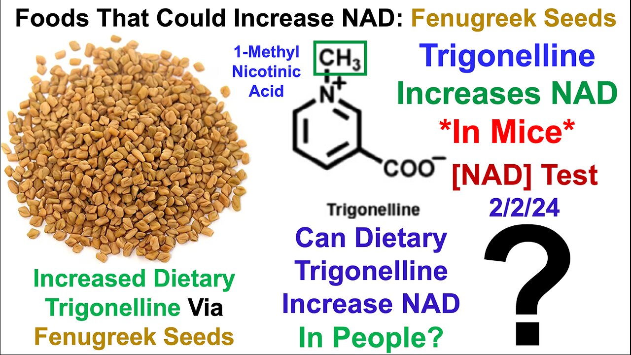 Foods That Could Increase NAD: Fenugreek Seeds