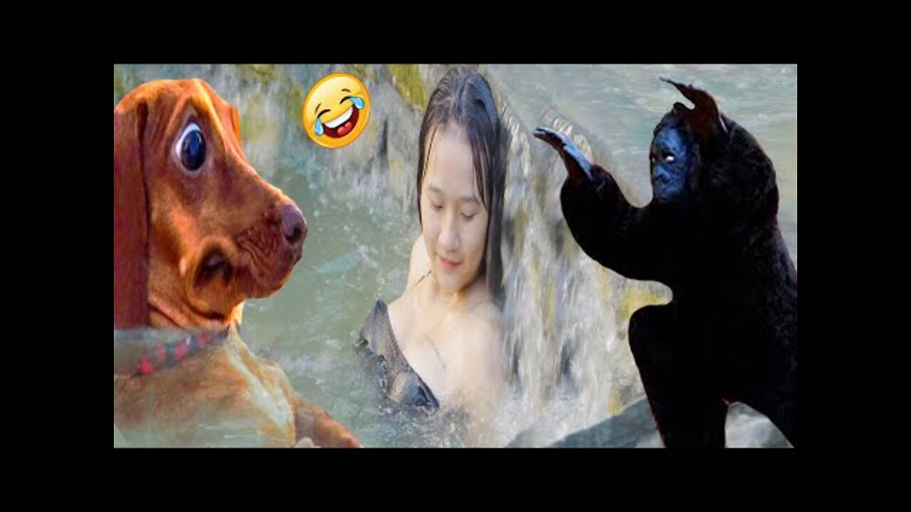 #funny #cute ❤ #dogs 🐶 and #cats 🐱 part