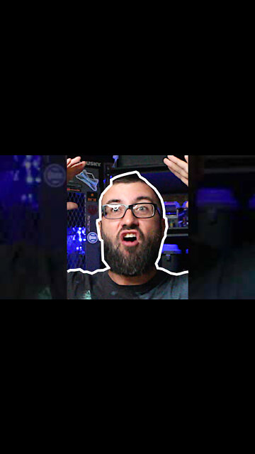 Project Veritas FBI Leak, but how did EVERYONE miss THIS!!!