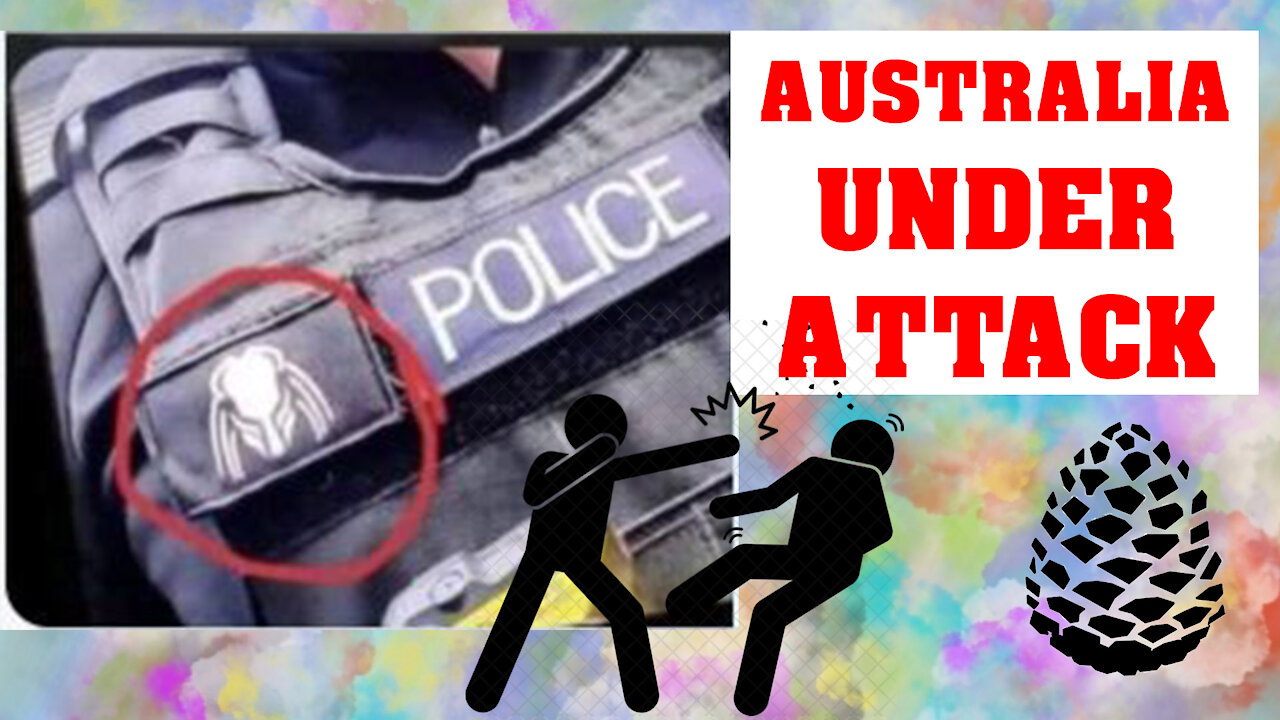 AUSTRALIA UNDER ATTACK!!! Shoppers attacked by so called Police, Pinecone