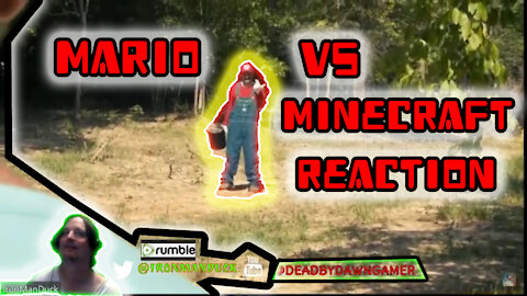 my reaction to Mario vs Minecraft