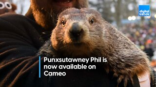 Punxsutawney Phil on Cameo!