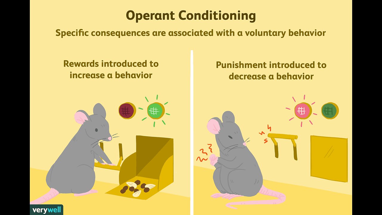 Programming and Conditioning