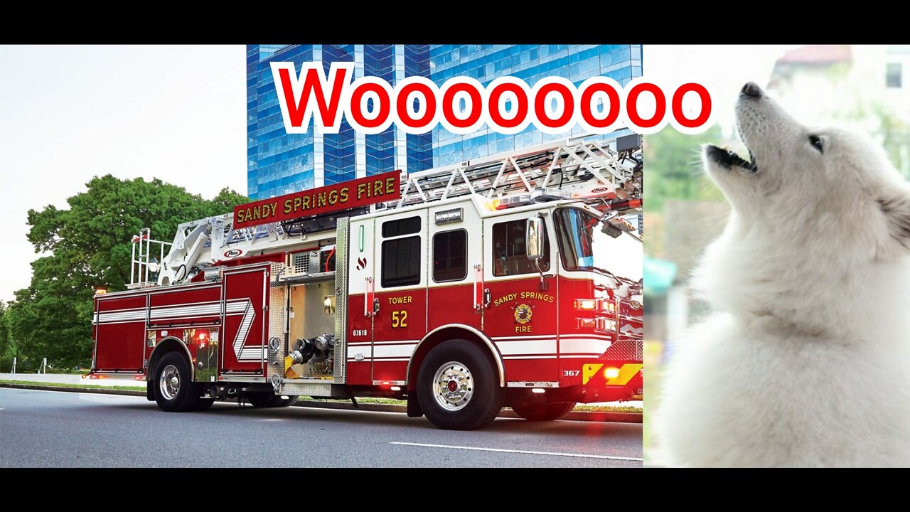 Funny dog mocking Fire Truck Siren woooooooo