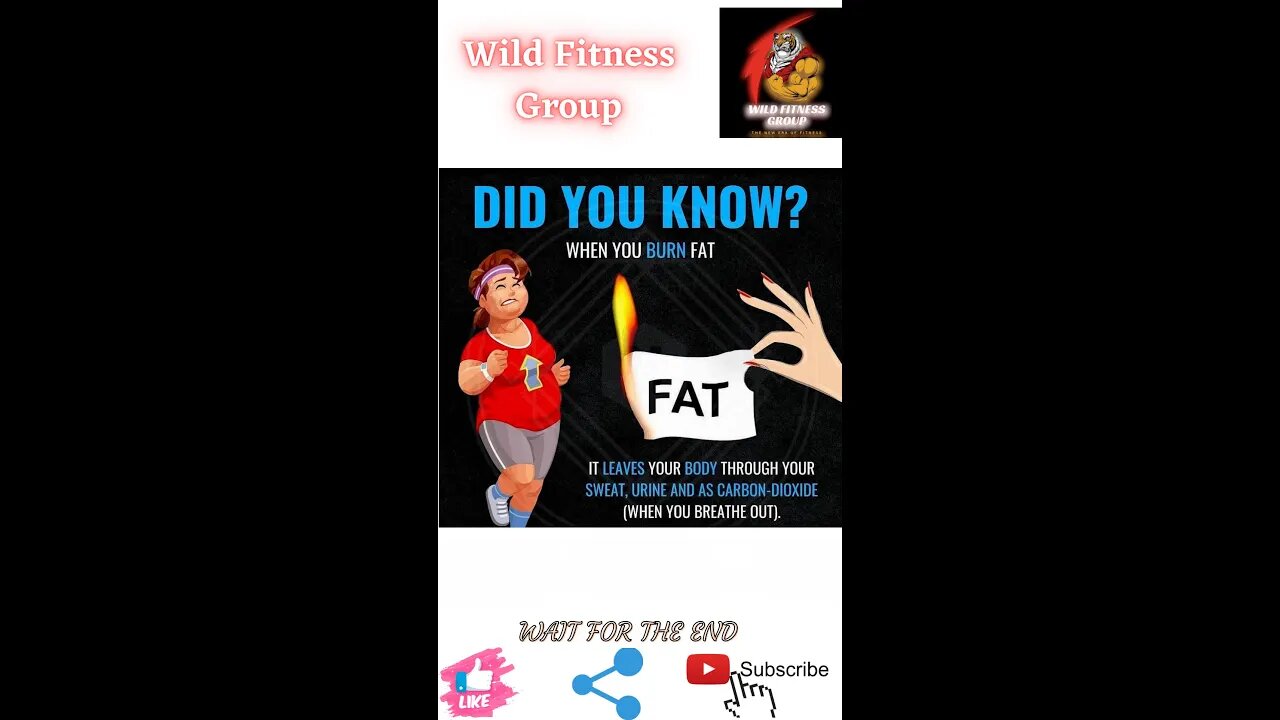 🔥Did you know what happens when you burn fat🔥#shorts🔥#viralshorts🔥#fitnessshorts🔥#wildfitnessgroup🔥