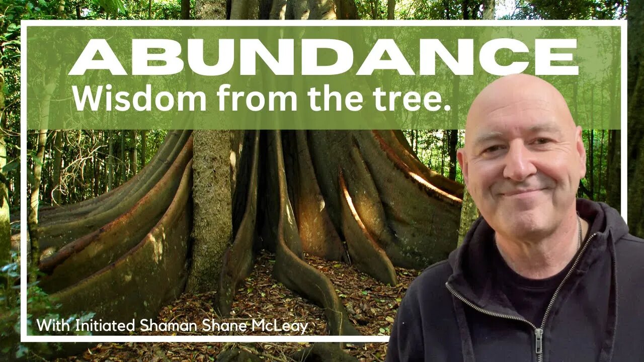 Abundance. Lessons From The Tree With Initiated Shaman Shane McLeay