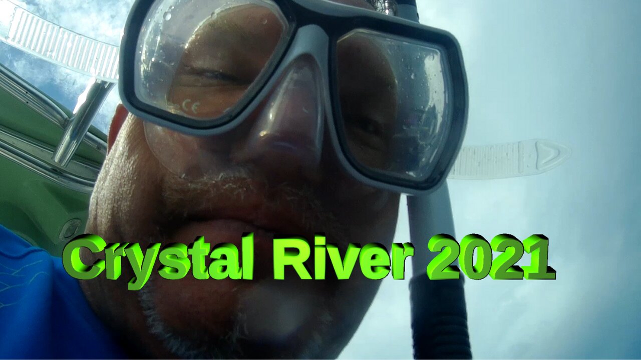 Crystal River Scalloping Trip 2021