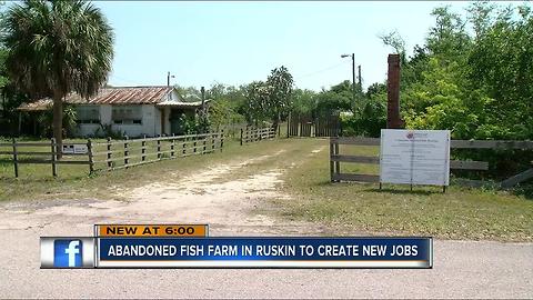 Abandoned fish farm to be torn down, jobs created