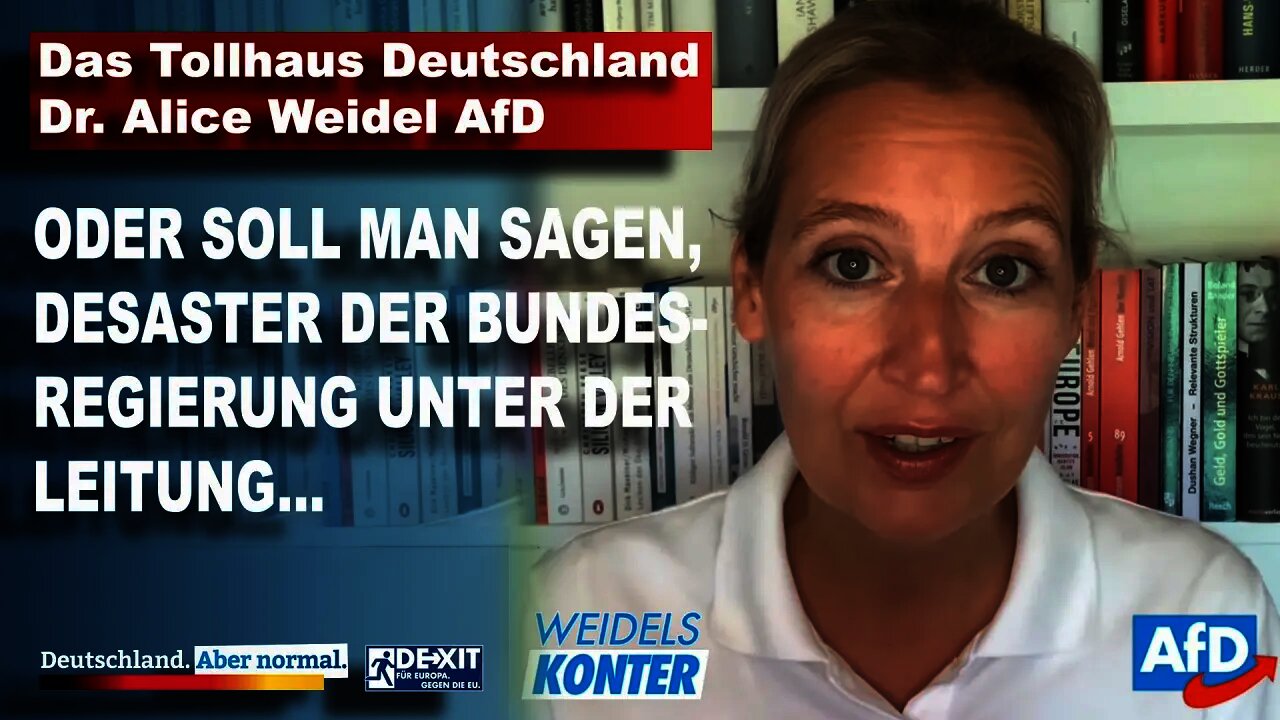 Das Tollhaus Deutschland Dr. Alice Weidel AfD