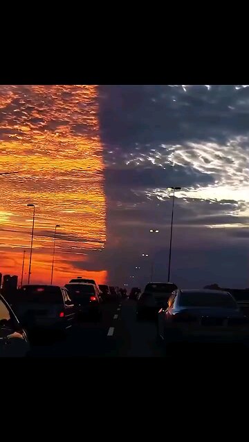 Terminator Line Spotted in FL