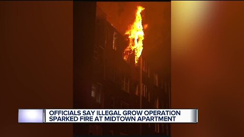 Officials: Illegal grow operation caused fire in Midtown Detroit apartment complex