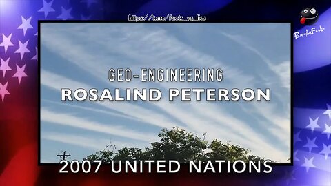 Rosalind Peterson on Chemtrails & Geoengineering, 2007 United Nations (Full Speech)