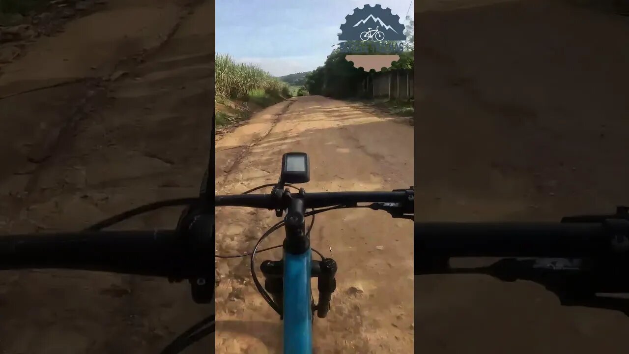 No estradão soltamos os cavalos - BIKES E TRILHAS #shorts #bike #mtb
