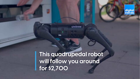 This quadrupedal robot will follow you around for $2,700