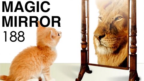 Magic Mirror 188 - It Wasn't Me