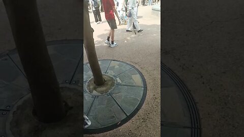 #etsukojunio #etsukofans #fransiscaofficial #teamfransisca #沉连清 #fransisca #fransiscametaworld