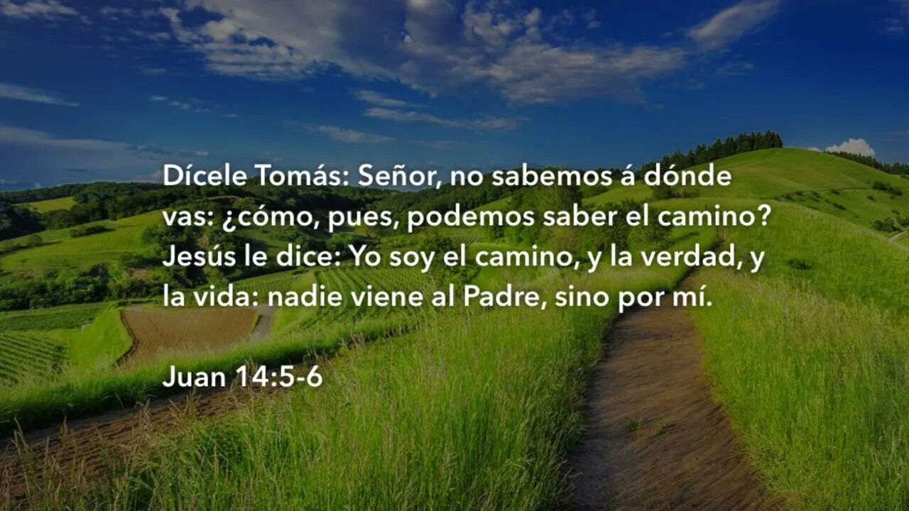 Yo soy el camino, la verdad y la vida #devocional #devocionaldiario #jesuscristo