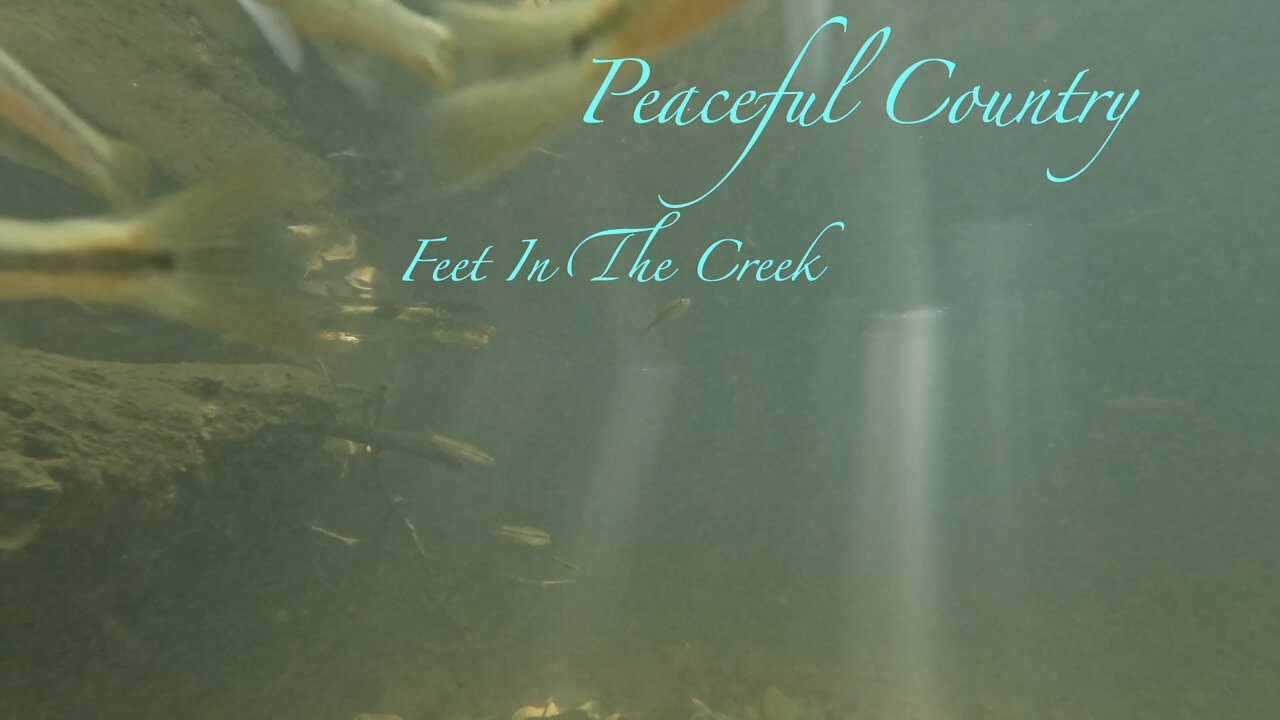 Feet In The Creek