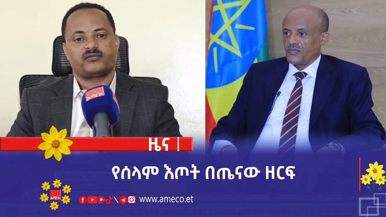 የሰላም እጦት በጤናው ዘርፍ