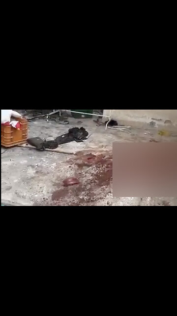 ***EXTREMELY GRAPHIC*** Aftermath of Hamas Killing an Entire Farming Village in Southern Israel