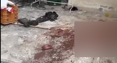 ***EXTREMELY GRAPHIC*** Aftermath of Hamas Killing an Entire Farming Village in Southern Israel