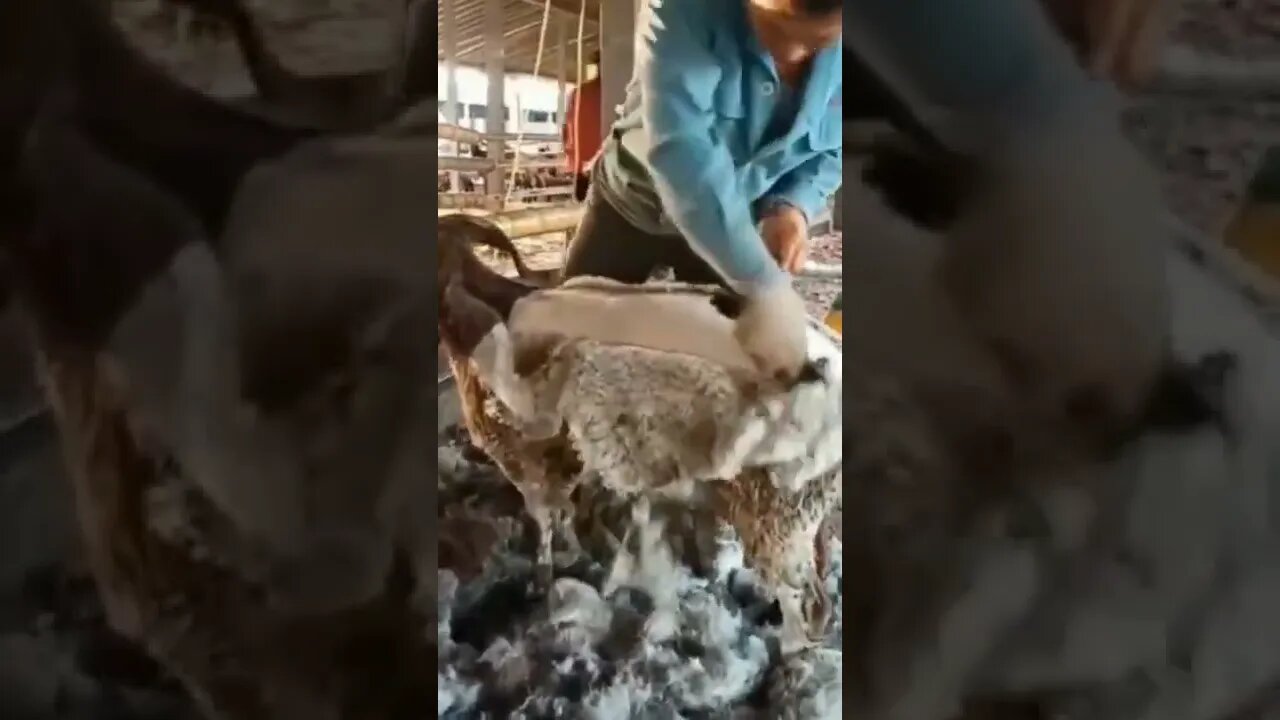 This is so Satisfying