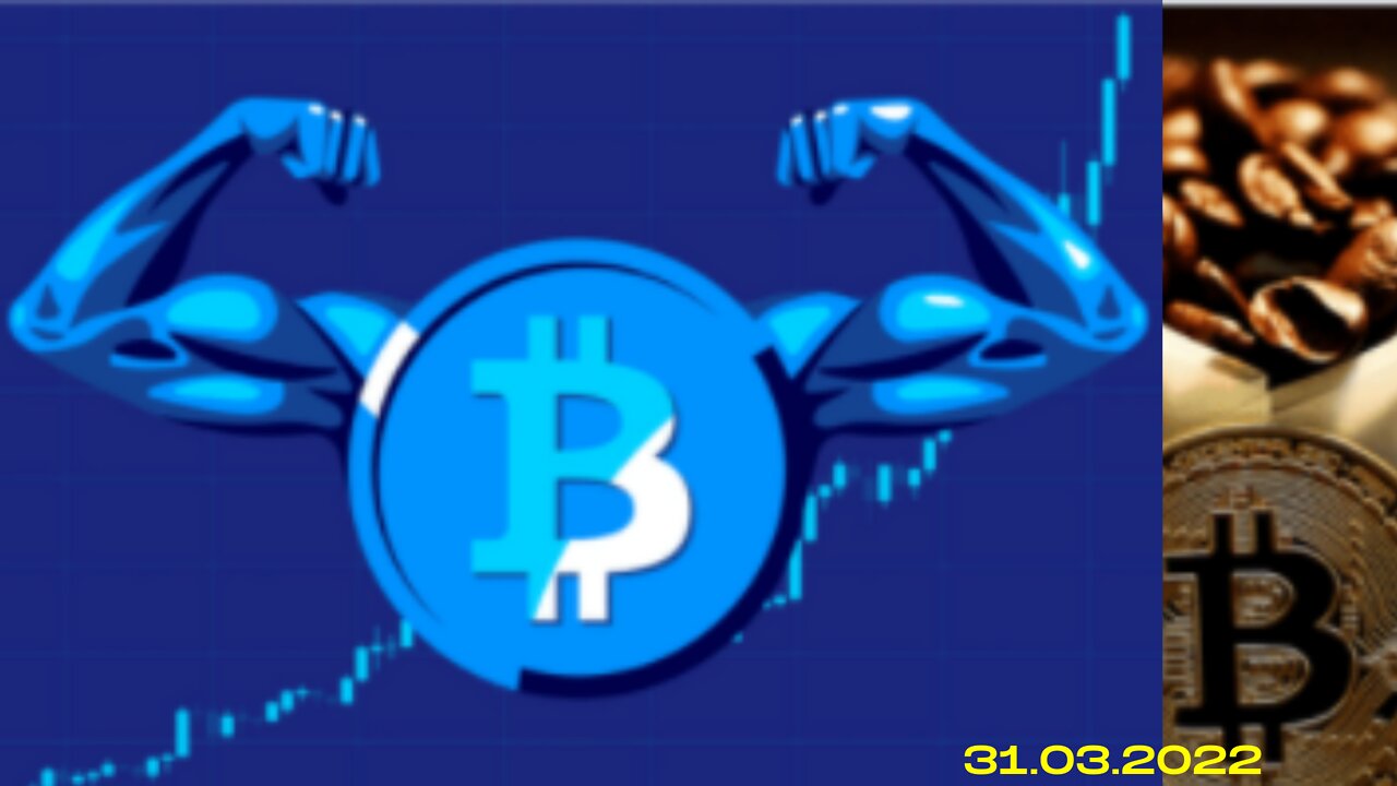 Why Bitcoin’s Hashrate Remains Elevated?| Dubai Café Accepts Cryptocurrency as Payment