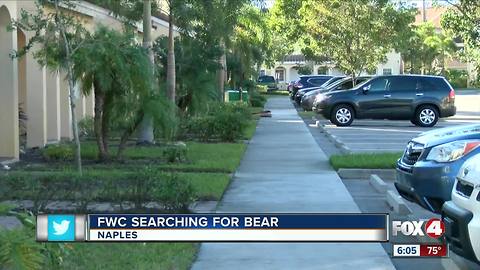 Victim recalls night bear attacked him