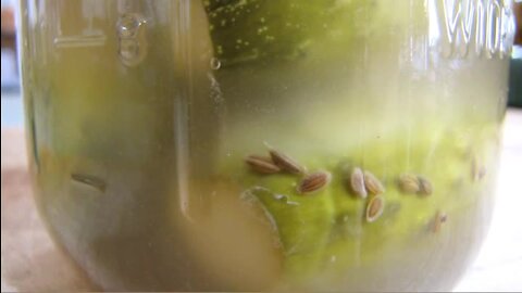 LF06 Pickles | Lacto-Fermentation eCourse Lesson 6